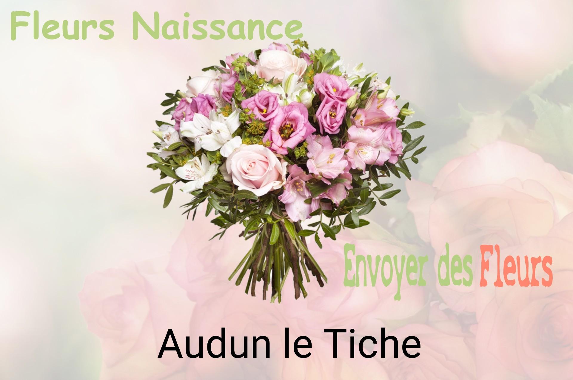 Bouquet de fleurs de naissance livré à Audun-le-Tiche